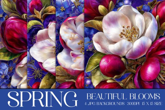 Download Beautiful Pink White Blooms Backgrounds - Pink white Collection
